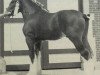 stallion Jonesway Reflection (Clydesdale, 1985, from Bardrill Prince of Wales)