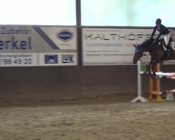 Reitturnier Jüchen-Waat 2017