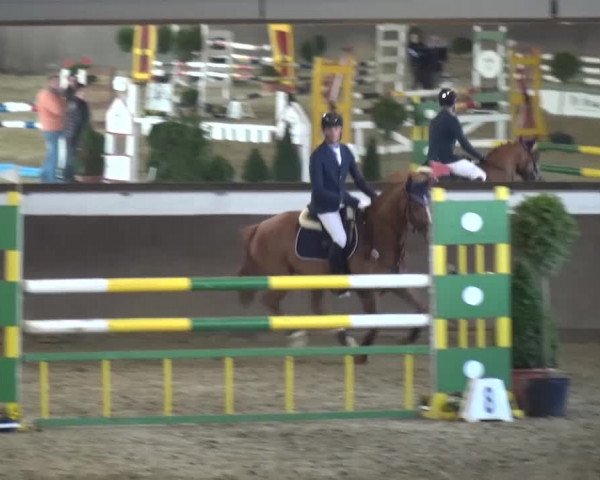 Reitturnier Jüchen-Waat 2017