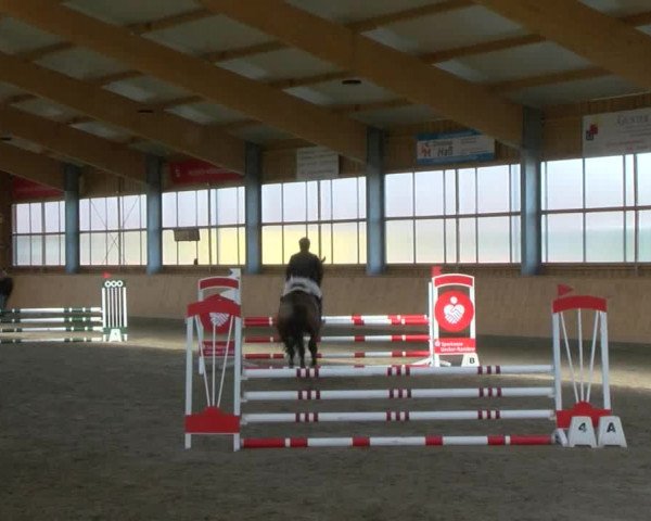 Reitturnier Polzow 2017