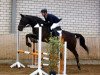 dressage horse Sammy de Luxe 7 (Rhinelander, 2001, from Saint Tropez)