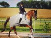 broodmare Boney M 17 (German Sport Horse, 2011, from Saami xx)