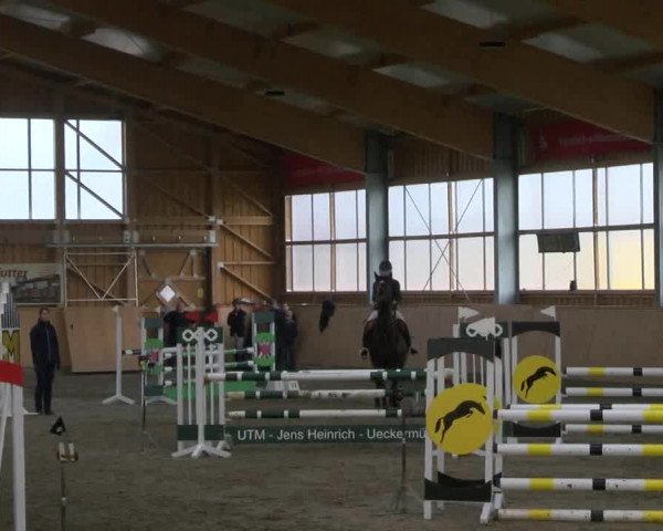 Reitturnier Polzow 2017