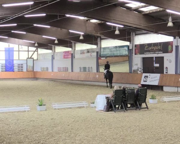Reitturnier Bottrop 2017