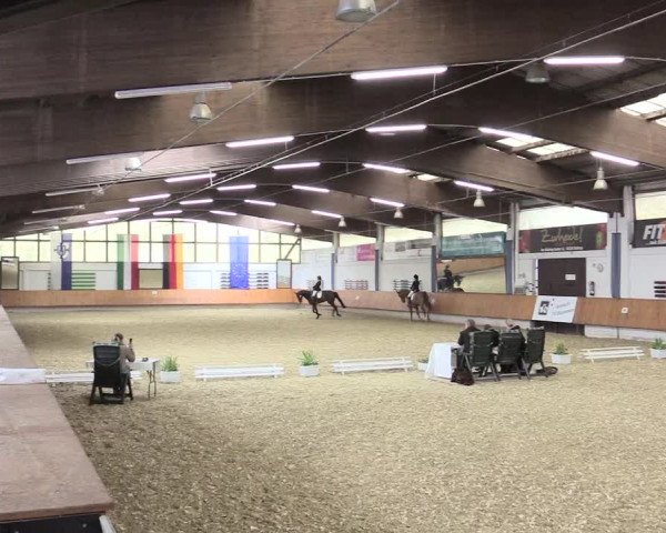 Reitturnier Bottrop 2017