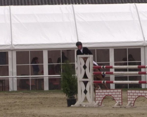 Reitturnier Bottrop 2017