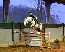 Springpferd Kanthago de Revel (Zangersheide Reitpferd, 2016, von Kannan)