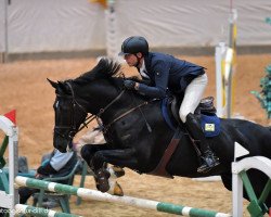 jumper Faroso W (KWPN (Royal Dutch Sporthorse), 2010, from Zapatero VDL)