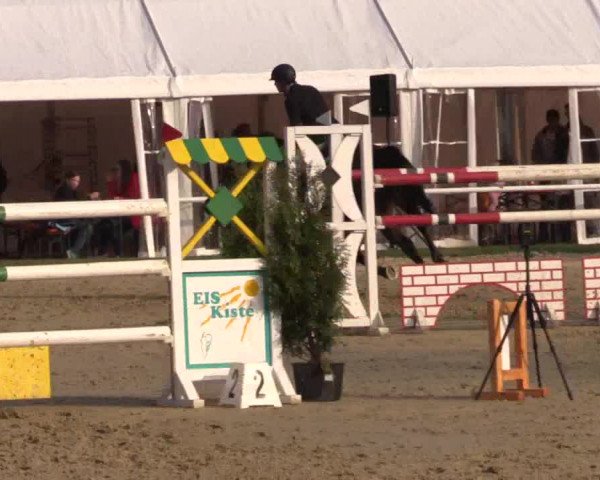 Reitturnier Bottrop 2017