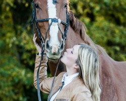 dressage horse Bella Rose MS (Bavarian, 2012, from First Boy)