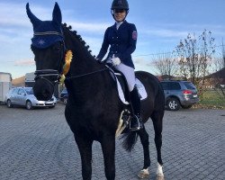 dressage horse Royal Glamour 2 (Hanoverian, 2006, from Royal Blend)