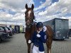 dressage horse Fleetwood Mac 17 (Oldenburg, 2010, from Fürst Romancier)