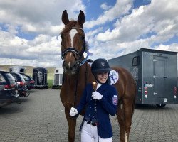 dressage horse Fleetwood Mac 17 (Oldenburg, 2010, from Fürst Romancier)