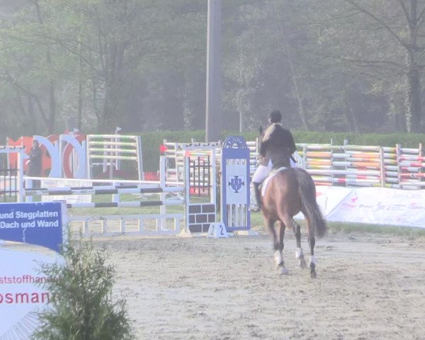 Reitturnier Bottrop 2017