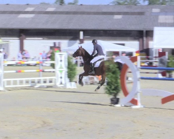 Reitturnier Bottrop 2017