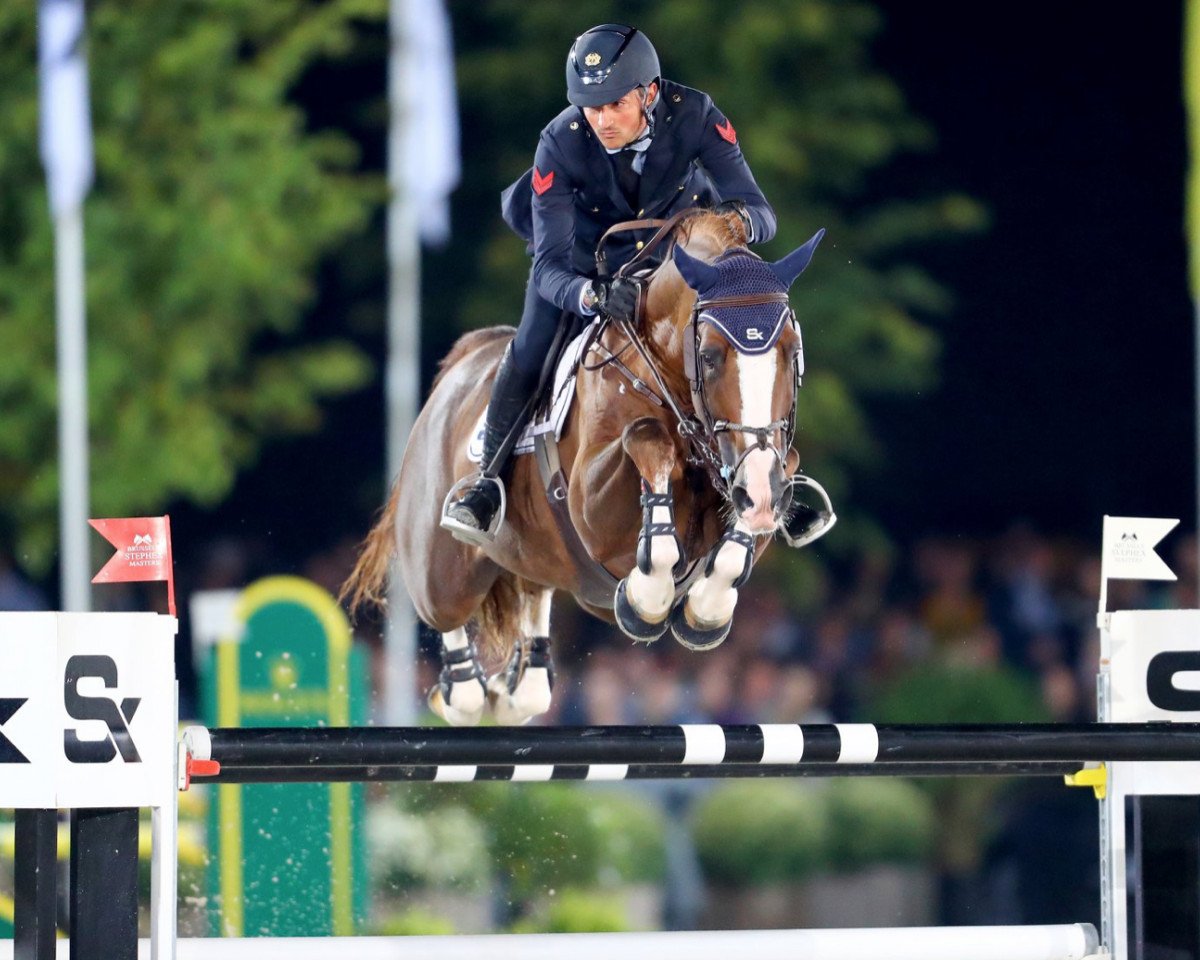 stallion Halifax van het Kluizebos (Belgian Warmblood, 2007, from Heartbreaker)