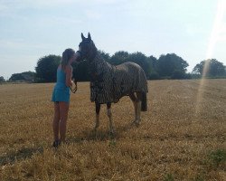 broodmare Nelly (German Riding Pony, 2012)