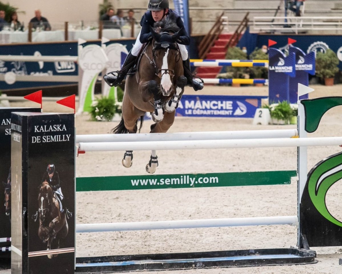 jumper Giolita (KWPN (Royal Dutch Sporthorse), 2011, from C-Ingmar)
