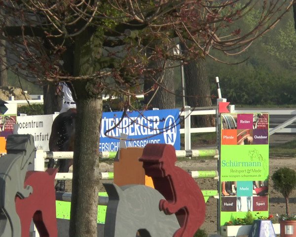 Lenklarer Reitertage 2017