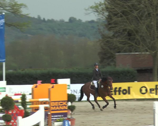 Lenklarer Reitertage 2017