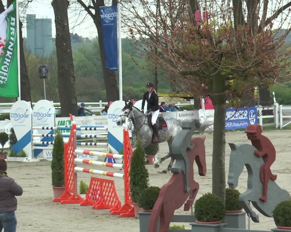 Lenklarer Reitertage 2017