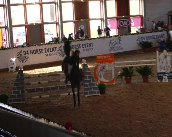 Christmas Jumping Trophy Prussendorf 2021