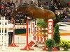 Deckhengst Special Motion (Trakehner, 2016, von High Motion 2)