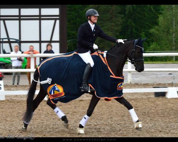 dressage horse Dalcanton (Oldenburg,  , from Dante Weltino Old)