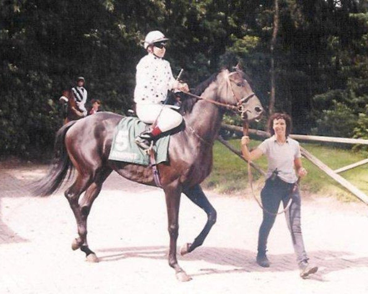 stallion Watermill Rolex xx (Thoroughbred, 1998, from Mytens xx)