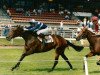 broodmare Watermill Olymp xx (Thoroughbred, 1987, from King xx)