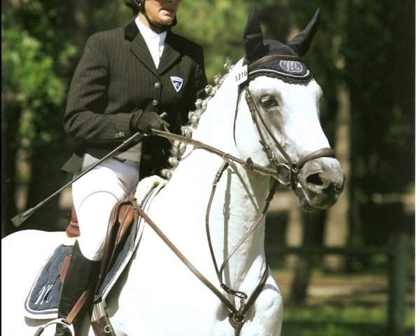 Deckhengst Vauban de Ste Hermelle (Belgium Sporthorse, 2005, von Surcouf de Revel)