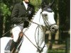 stallion Vauban de Ste Hermelle (Belgium Sporthorse, 2005, from Surcouf de Revel)