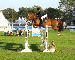 broodmare Urphee Ste Hermelle (Selle Français, 2008, from Lord Z)