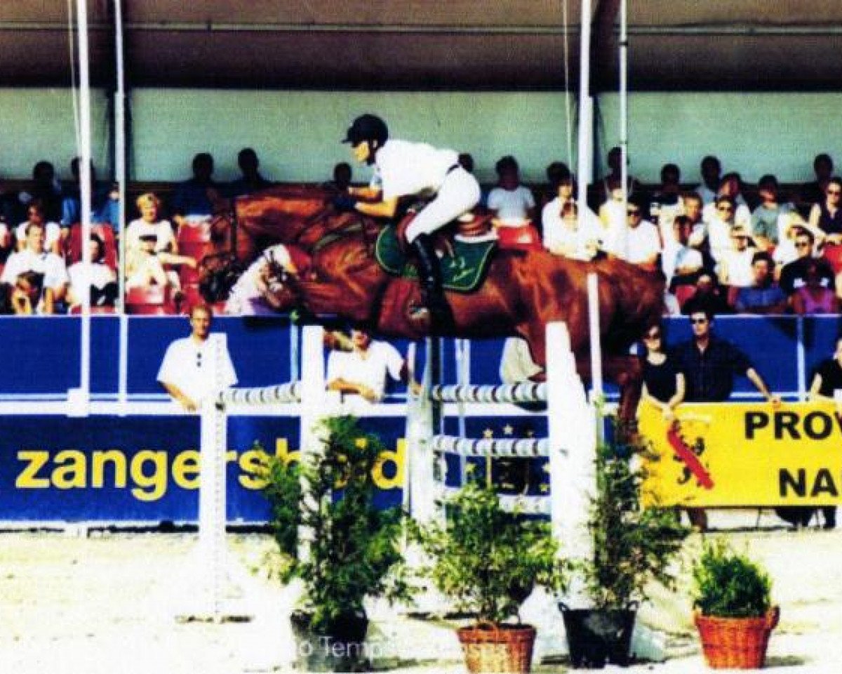 Deckhengst El Espoir de Retz (Selle Français, 1992, von Double Espoir)