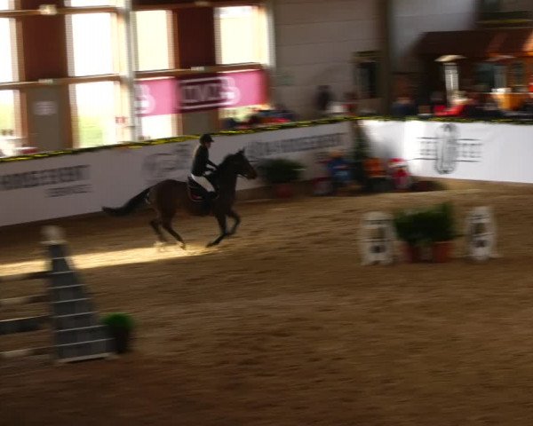 Christmas Jumping Trophy Prussendorf 2021