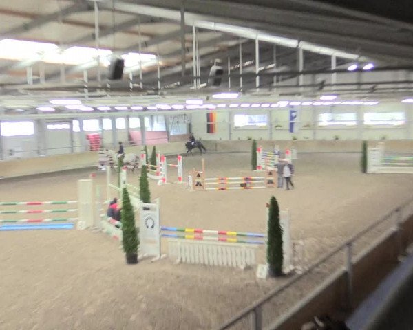 Reitturnier Waghäusel-Wiesental 2017