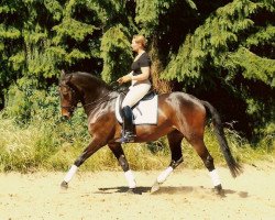 Pferd L'Etoile 008 (Trakehner, 1996, von Römer)