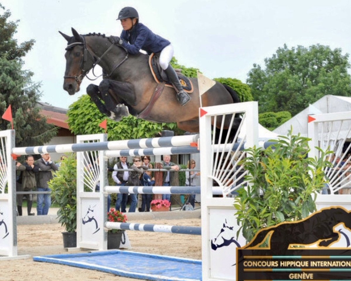 jumper Prevert van Sint Maarten (Belgium Sporthorse, 1999, from Kannan)