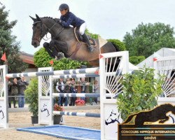 jumper Prevert van Sint Maarten (Belgium Sporthorse, 1999, from Kannan)