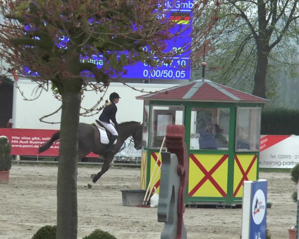 Lenklarer Reitertage 2017