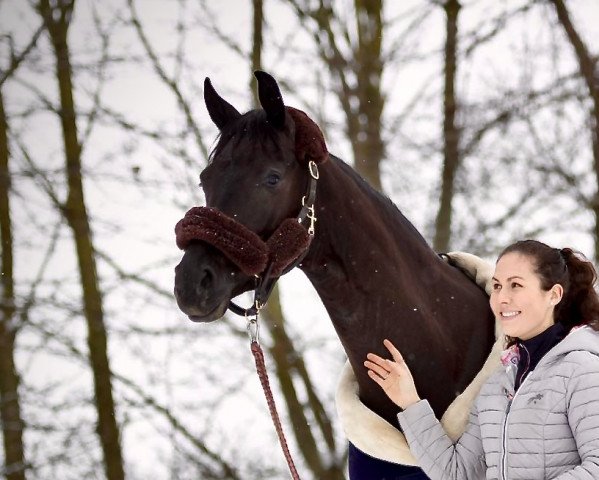 dressage horse Mona Lisa K (Hanoverian, 2017, from Morricone)