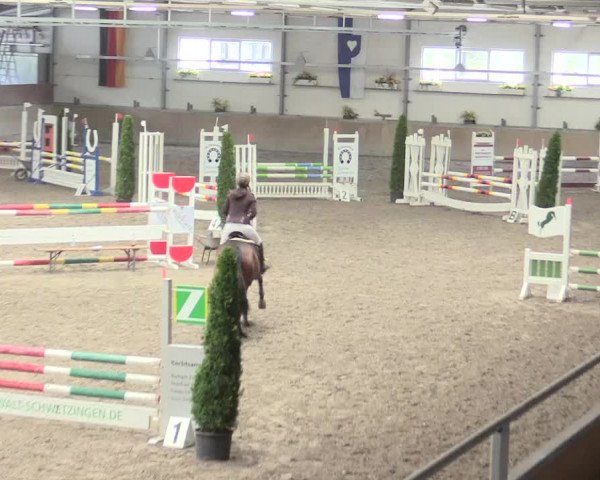 Reitturnier Waghäusel-Wiesental 2017