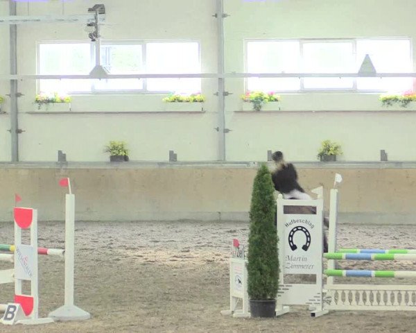 Reitturnier Waghäusel-Wiesental 2017