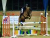 jumper That's Blondie (German Sport Horse, 2015, from Tangelo van de Zuuthoeve)