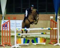 jumper That's Blondie (German Sport Horse, 2015, from Tangelo van de Zuuthoeve)