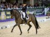 dressage horse DSP Pathetique (German Sport Horse, 2008, from Quaterback)