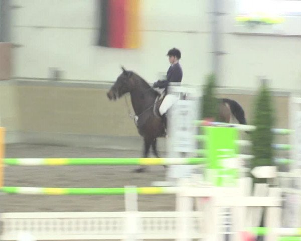 Reitturnier Waghäusel-Wiesental 2017