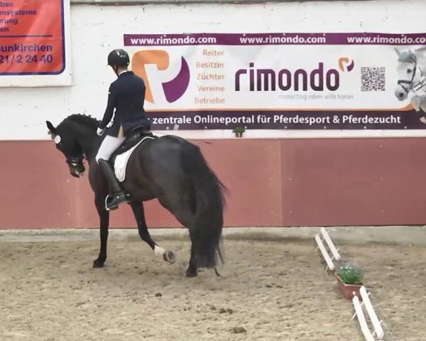 Reitturnier Neunkirchen-Furpach 2017