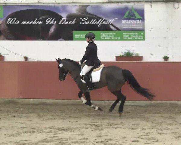 Reitturnier Neunkirchen-Furpach 2017