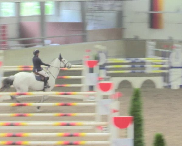 Reitturnier Waghäusel-Wiesental 2017